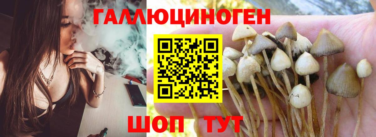 Галлюциногенные грибы ЛСД Минеральные Воды